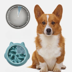 Slow Feeder Dog Bowl for Dogs & Cats – Anti-Gulping Pet Food Dish