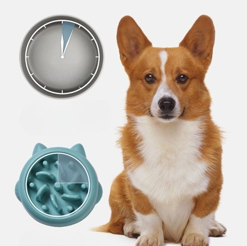 Slow Feeder Dog Bowl for Dogs & Cats – Anti-Gulping Pet Food Dish